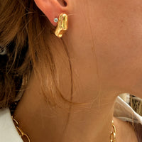 Sculpted Earrings