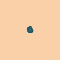 Turquoise Shell Charm
