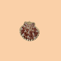 Blush Scallop Shell Charm