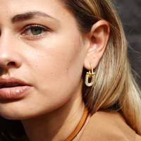 TF Link Hoops Shop Earrings MCHARMS Jewelry Store