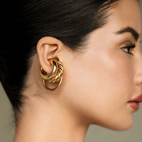 Golden Ear Stack Earrings