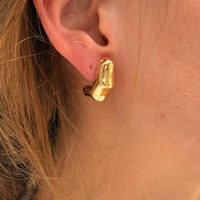 Sculpted Earrings