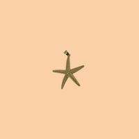 Gold Starfish Charm