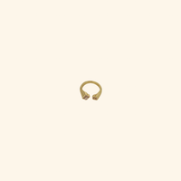 Twin Clover Ring
