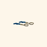 Blue Corral Earrings