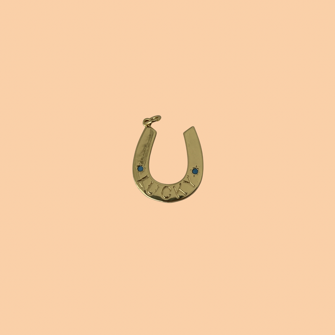 Lucky Horseshoe Charm