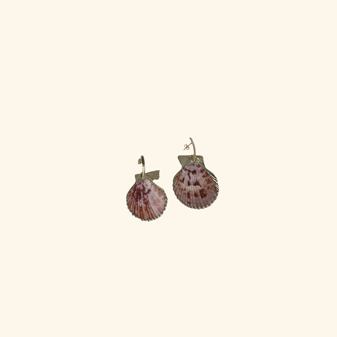 Shell Earrings