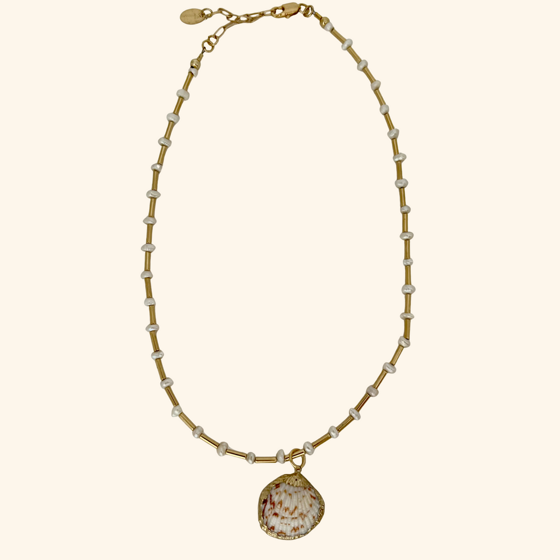 Sunkissed Shell Necklace