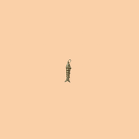 Gold Fish Charm