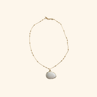 Shell and Pearl Beach Stack Shop Necklaces at MCHARMS